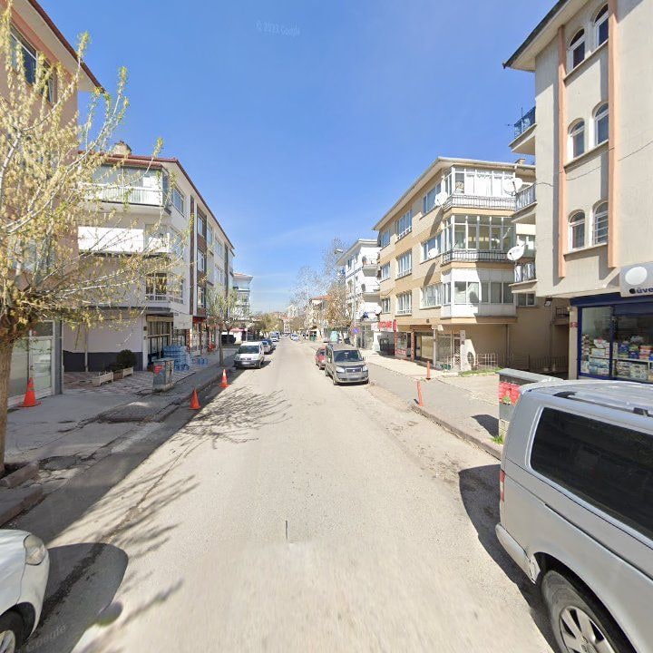 Fotoğraf 10