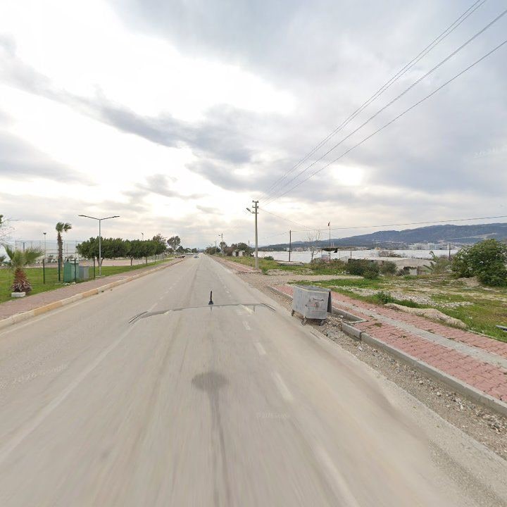 Fotoğraf 7