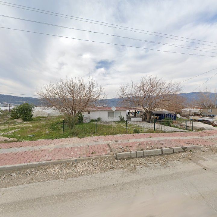 Fotoğraf 8