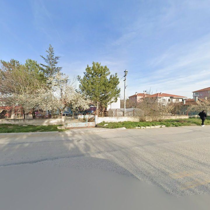 Fotoğraf 8