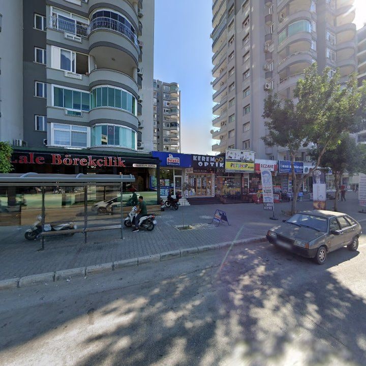 Fotoğraf 7
