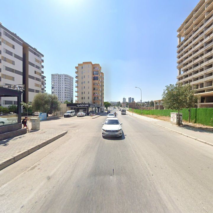Fotoğraf 8
