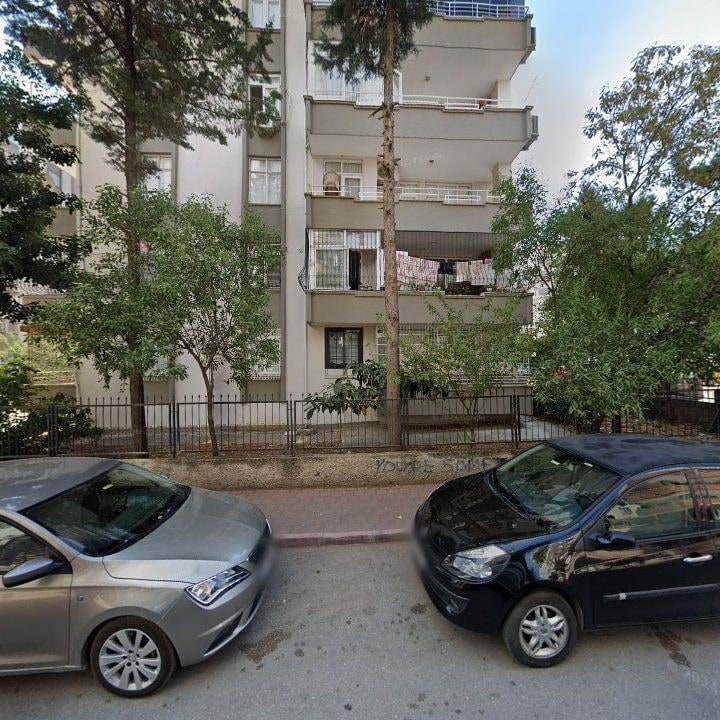 Fotoğraf 9