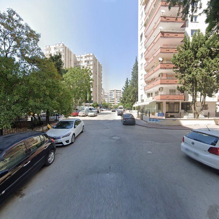 Fotoğraf 10