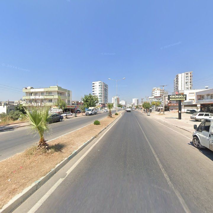 Fotoğraf 8