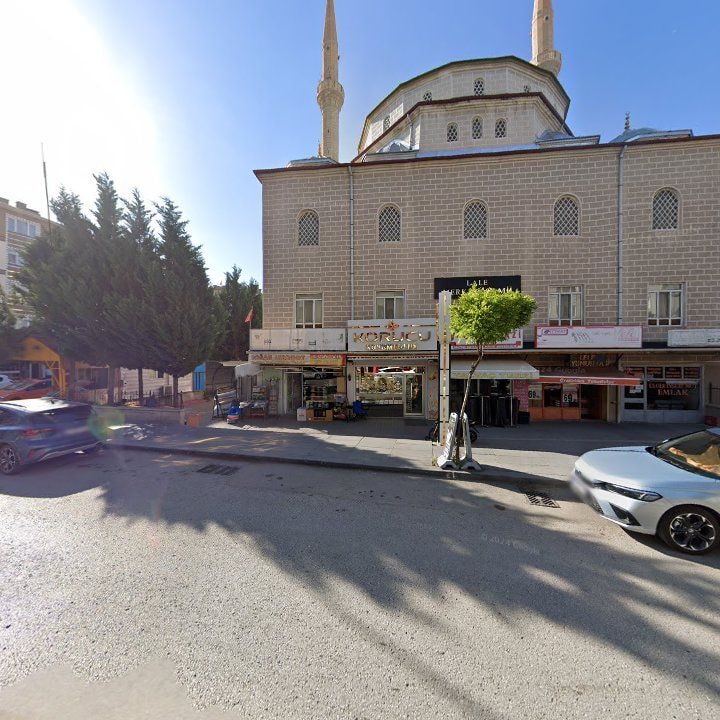 Fotoğraf 7