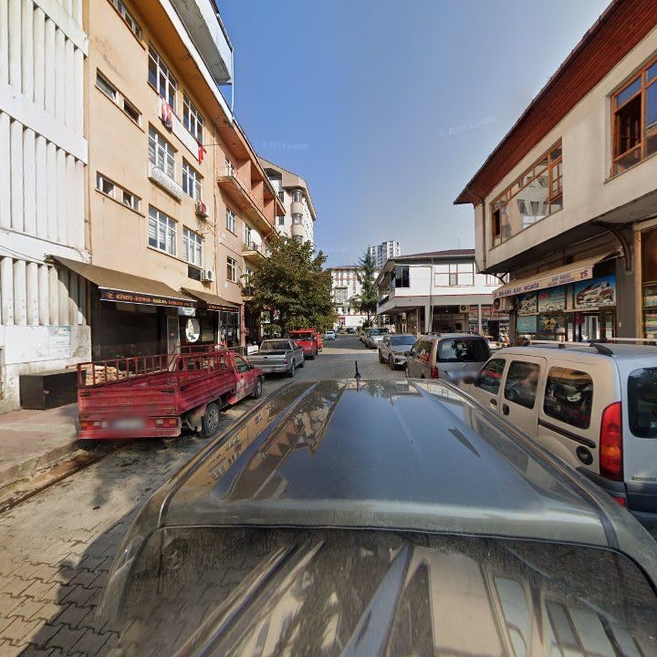 Fotoğraf 10