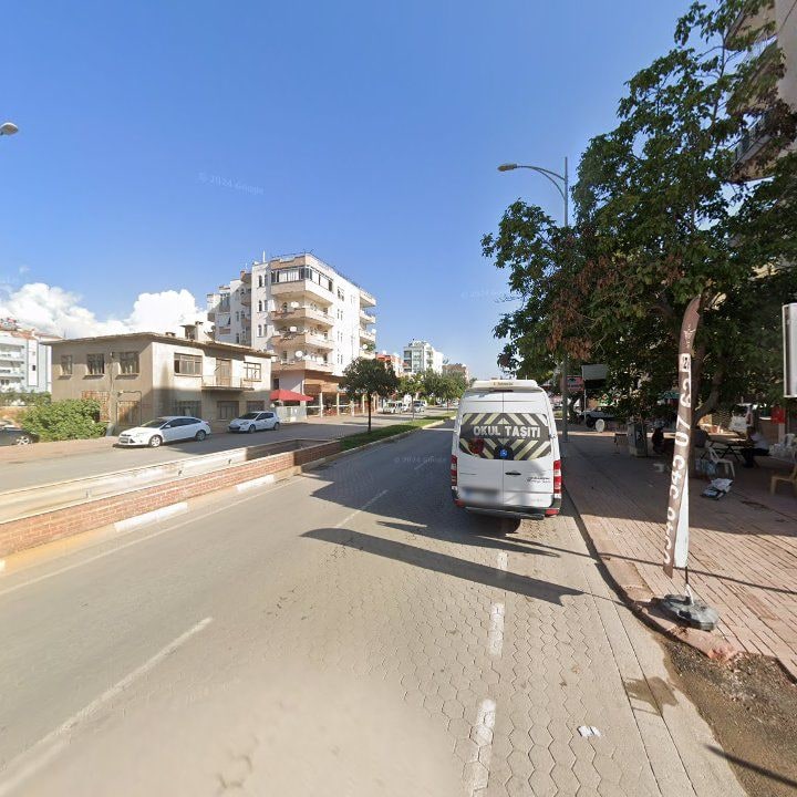 Fotoğraf 7