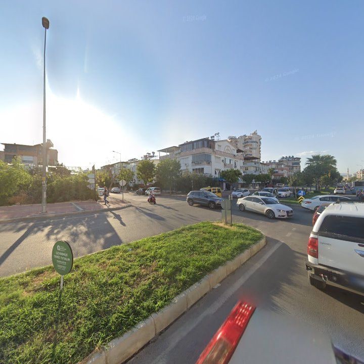 Fotoğraf 12