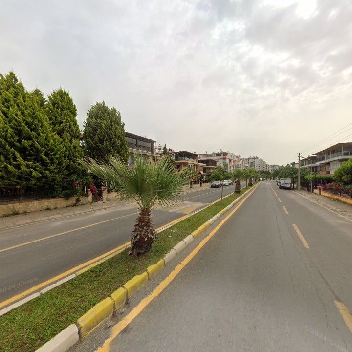 Fotoğraf 11