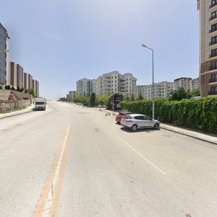 Fotoğraf 8