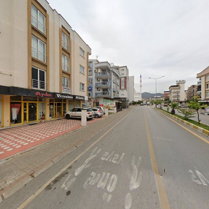 Fotoğraf 8