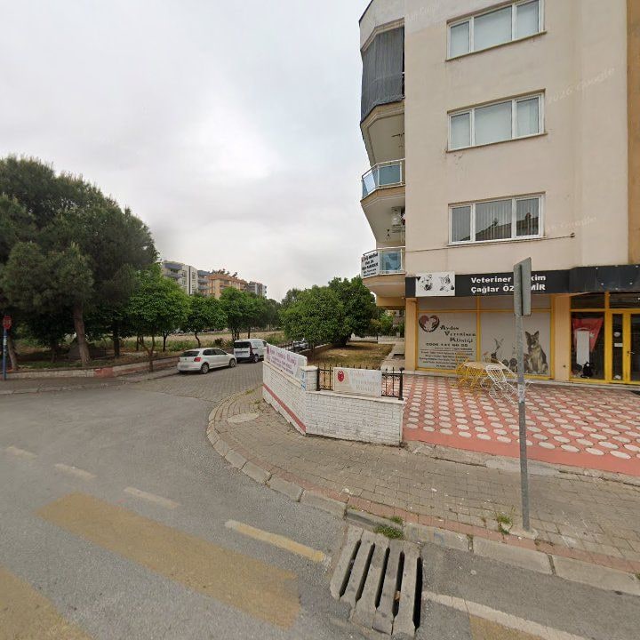 Fotoğraf 7