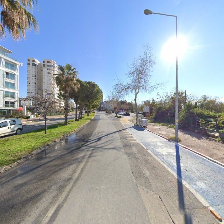 Fotoğraf 16