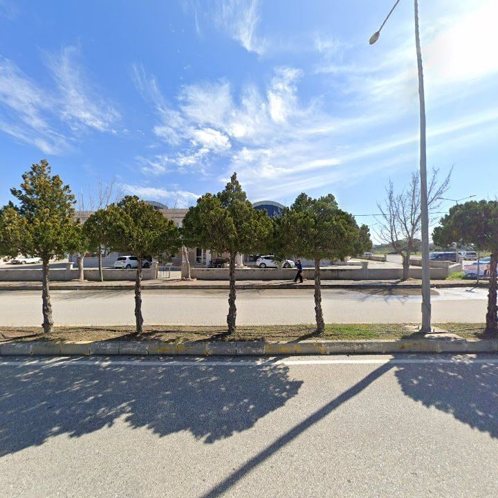 Fotoğraf 8