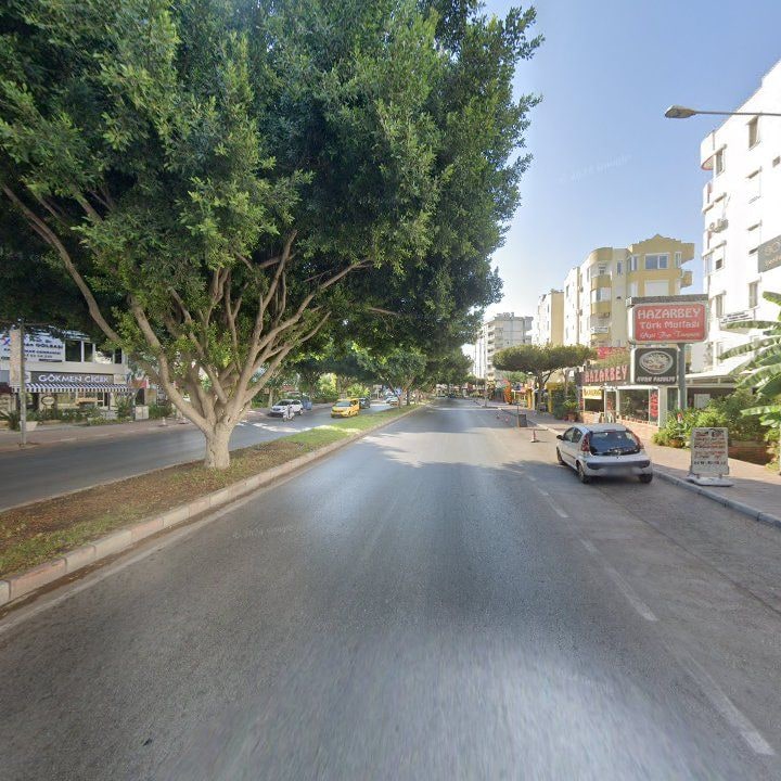 Fotoğraf 16