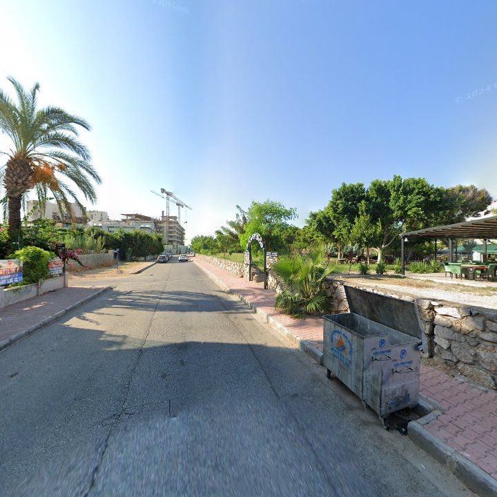 Fotoğraf 8