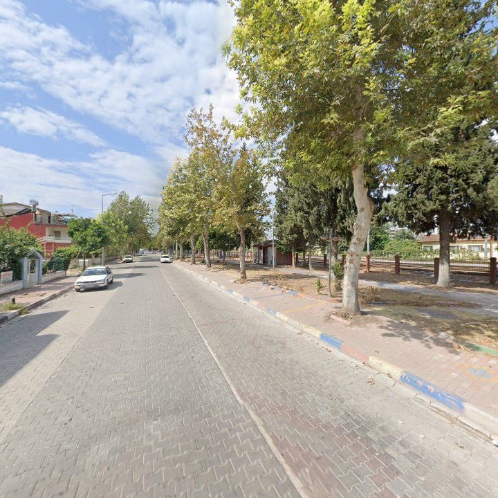 Fotoğraf 8