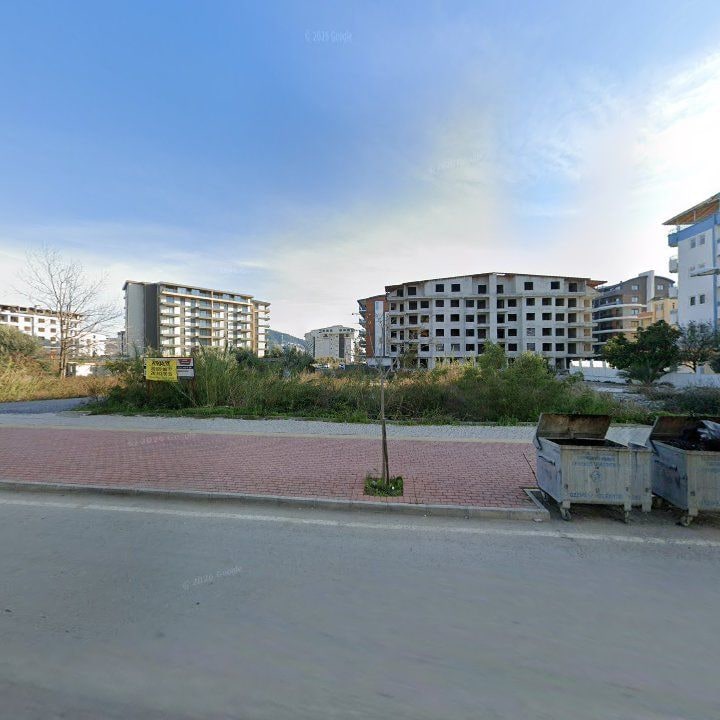 Fotoğraf 8