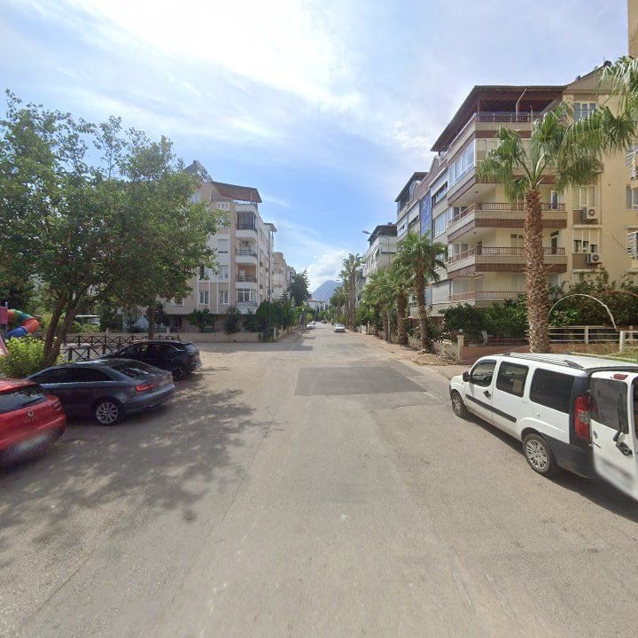 Fotoğraf 12