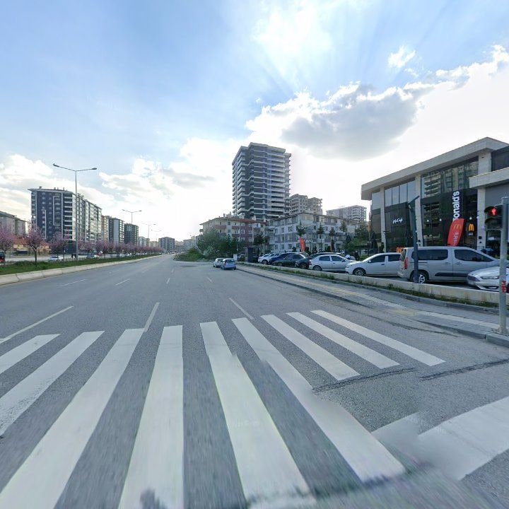 Fotoğraf 12