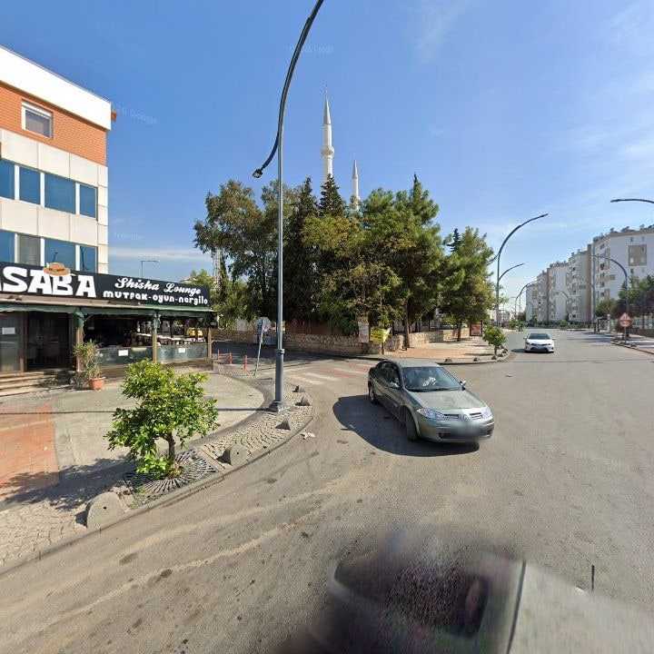 Fotoğraf 6