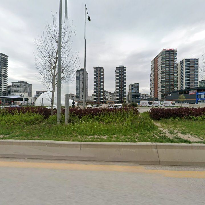 Fotoğraf 10
