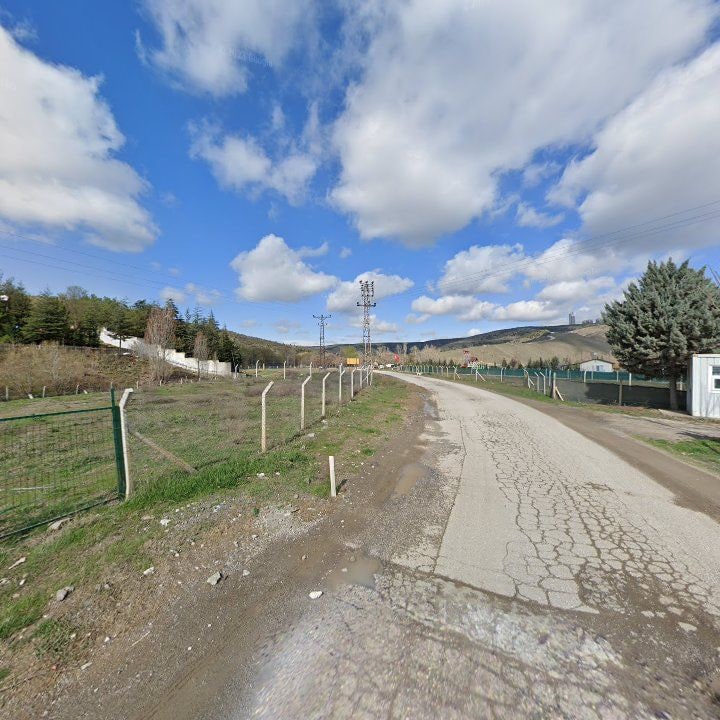 Fotoğraf 11