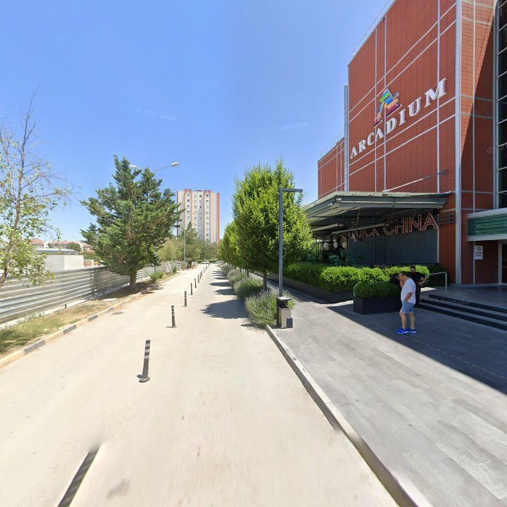 Fotoğraf 11