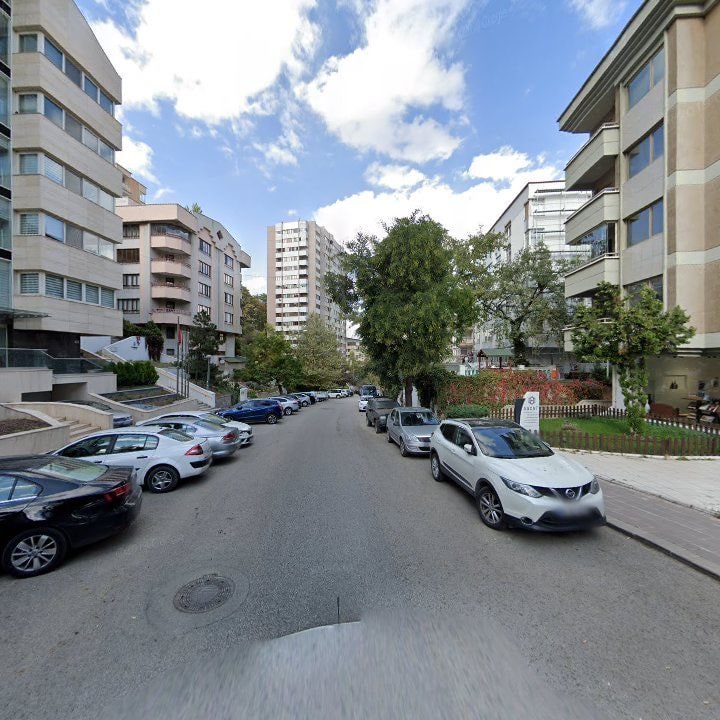 Fotoğraf 14