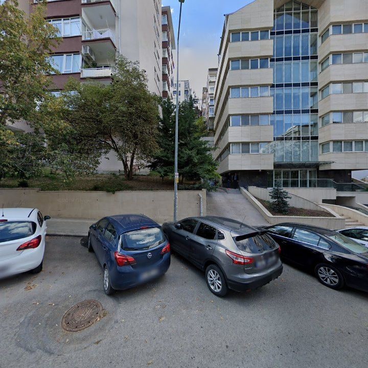 Fotoğraf 13