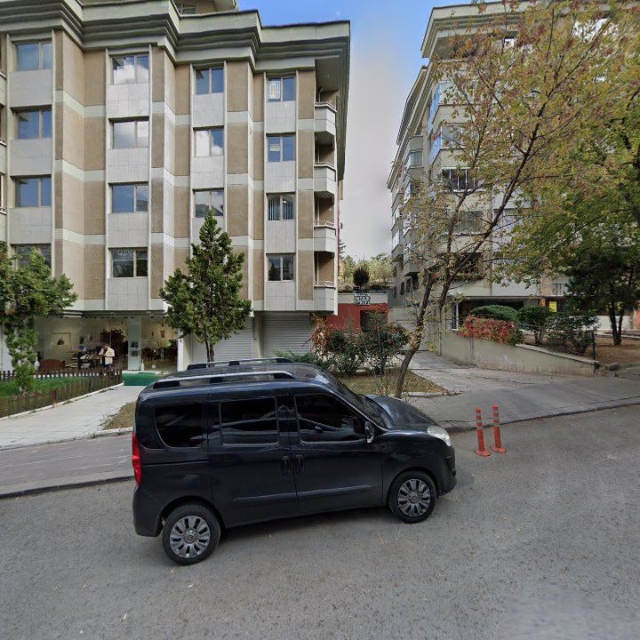 Fotoğraf 11