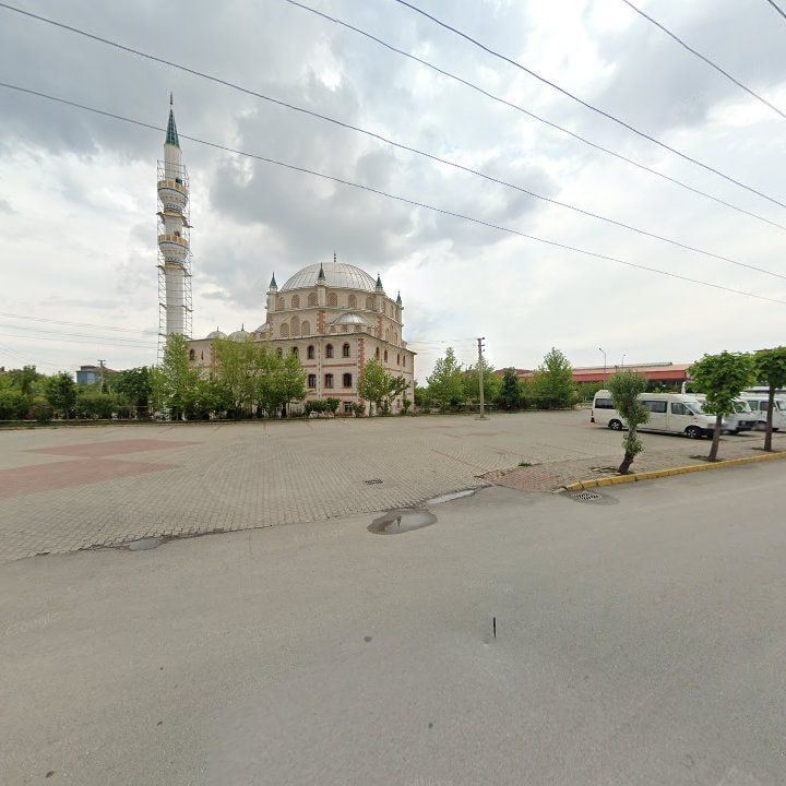 Fotoğraf 5