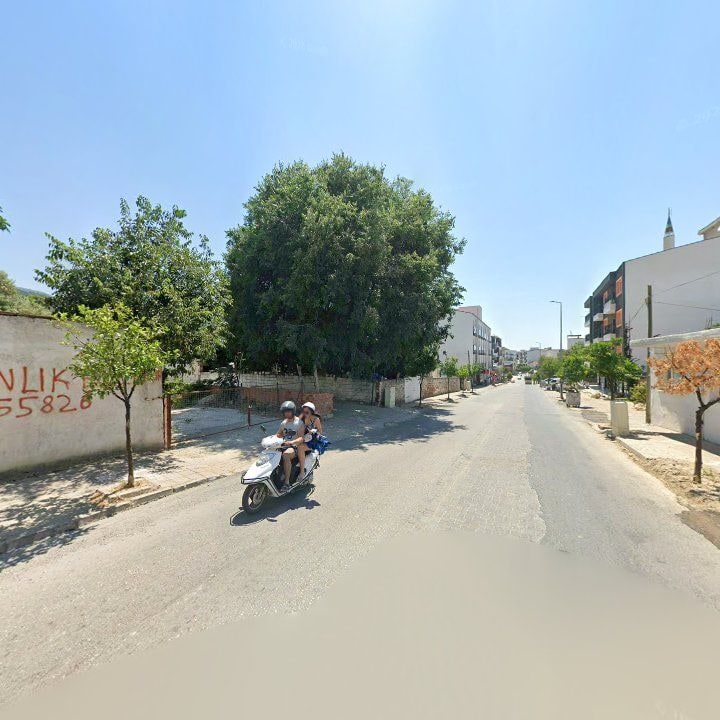 Fotoğraf 9