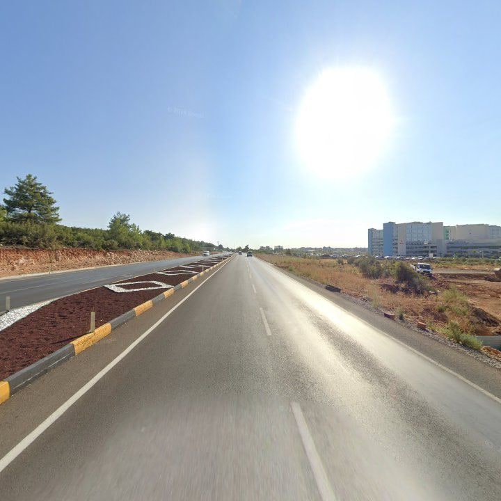 Fotoğraf 10
