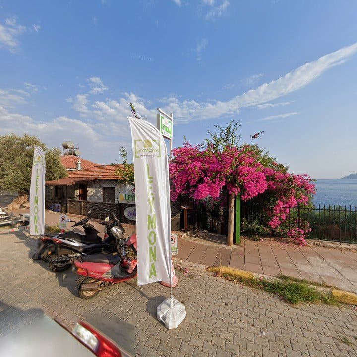 Fotoğraf 13