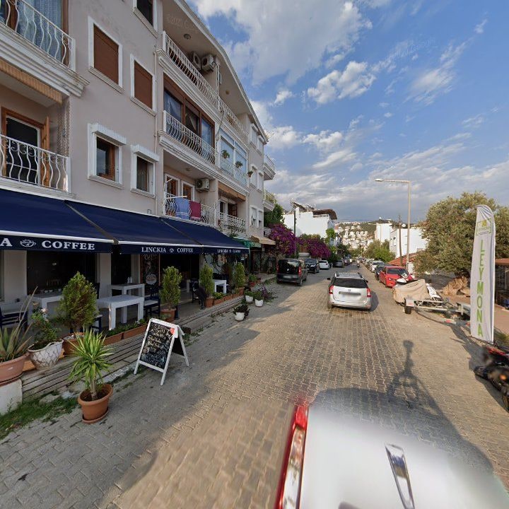 Fotoğraf 12