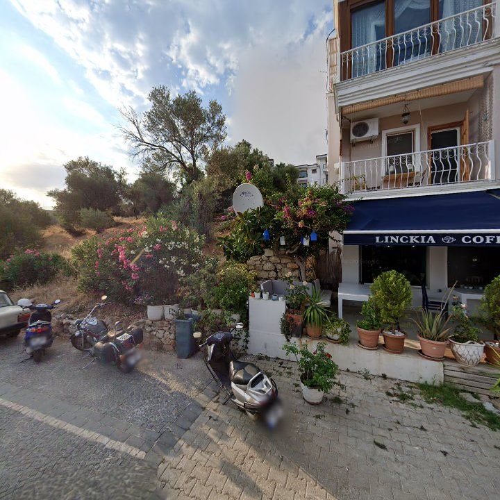 Fotoğraf 11