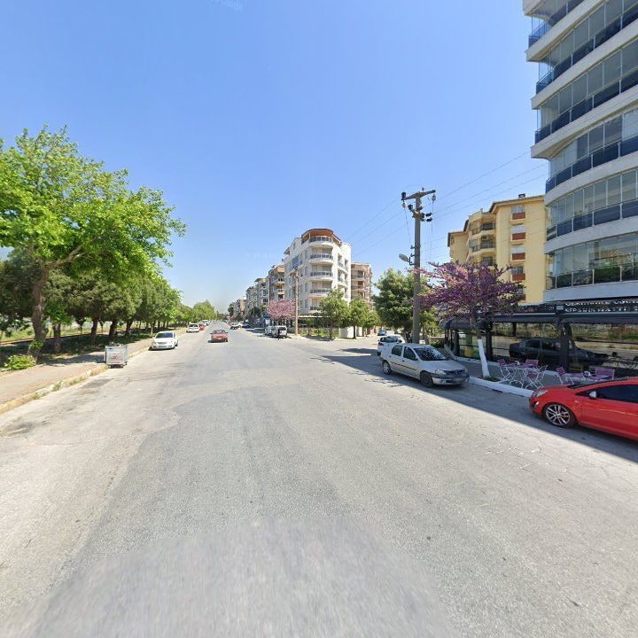 Fotoğraf 14