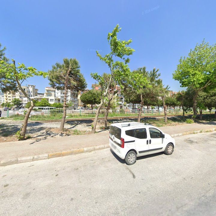 Fotoğraf 13