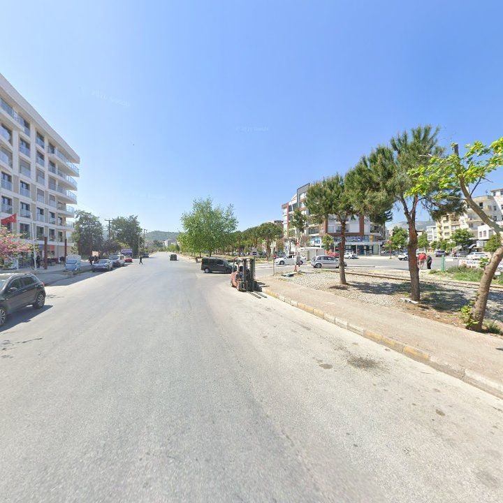 Fotoğraf 12