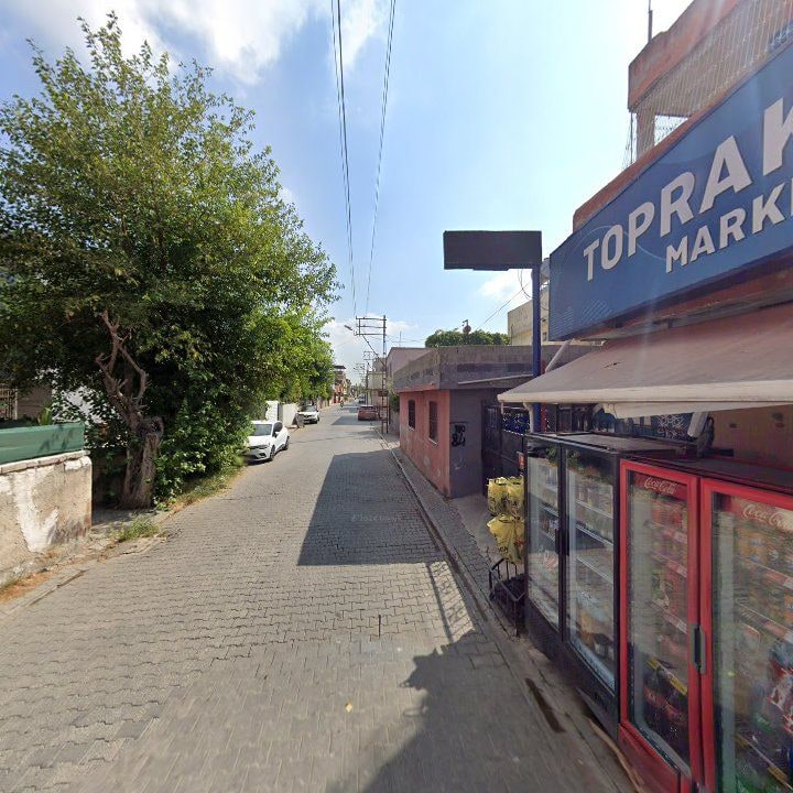 Fotoğraf 6