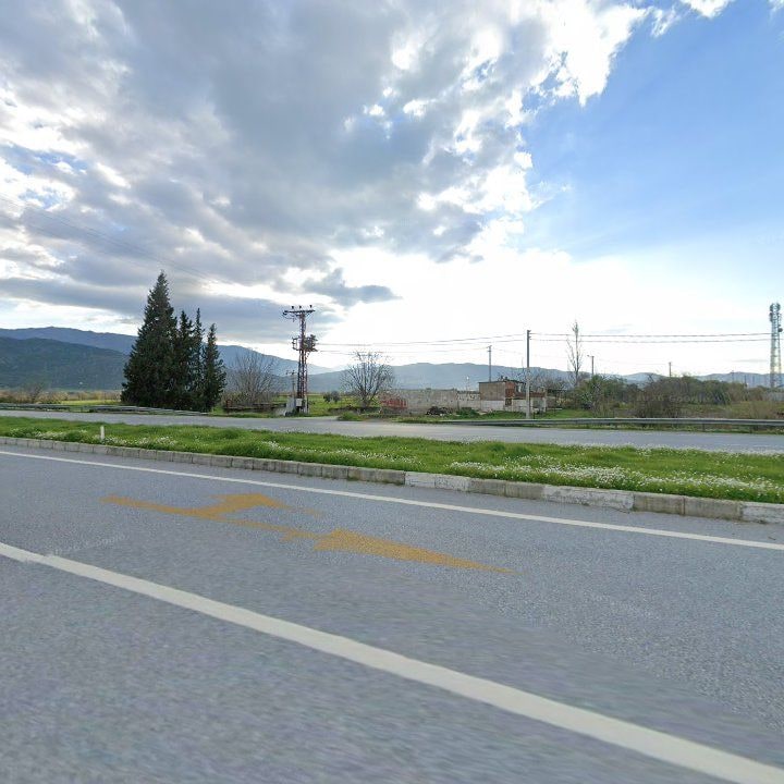 Fotoğraf 11