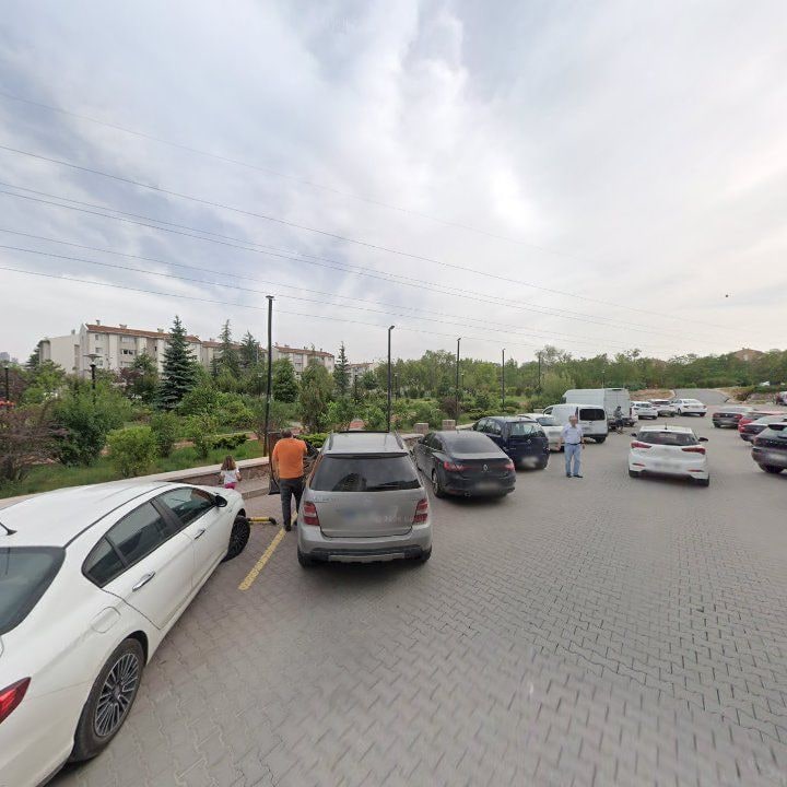 Fotoğraf 10