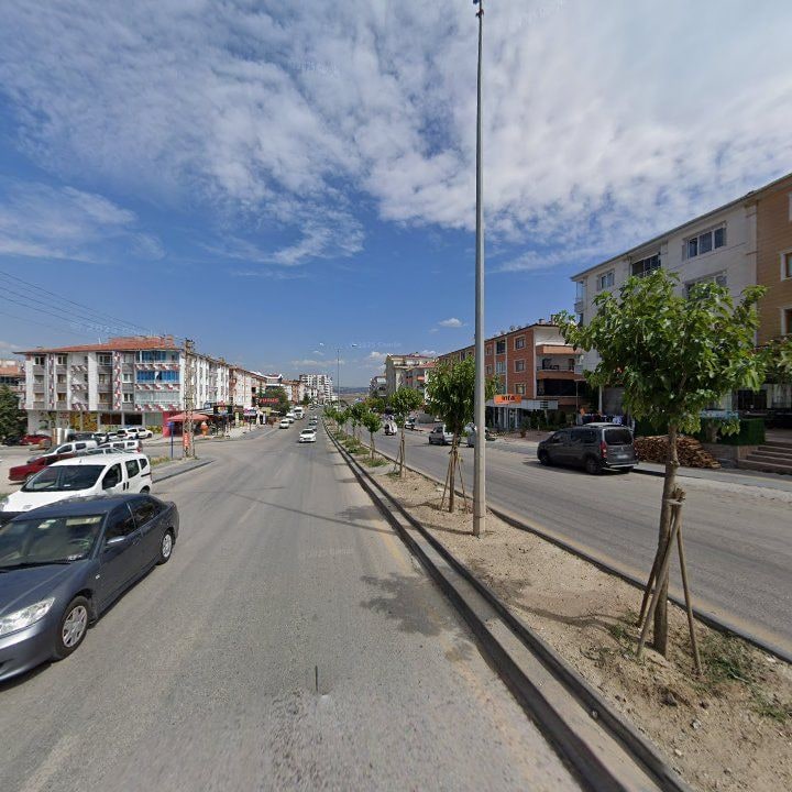 Fotoğraf 9
