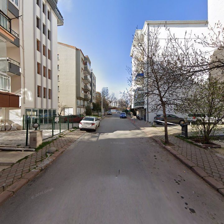 Fotoğraf 9