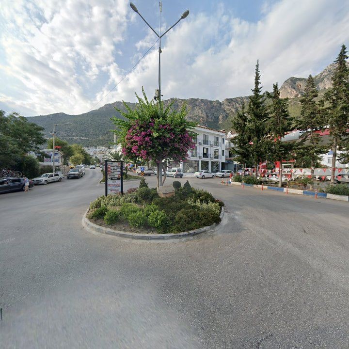 Fotoğraf 11