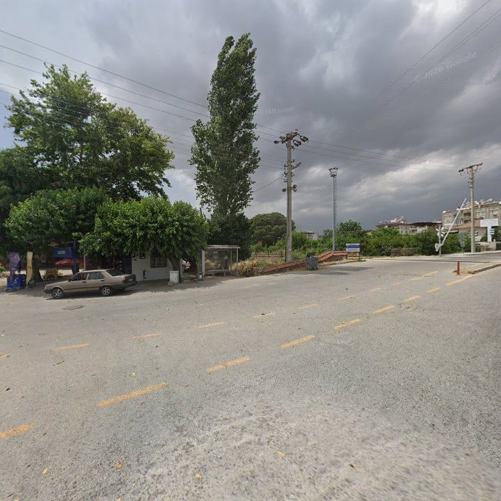 Fotoğraf 8
