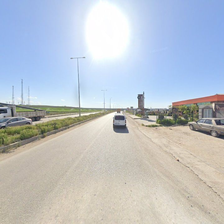 Fotoğraf 7