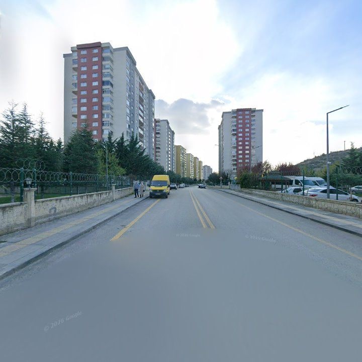Fotoğraf 9